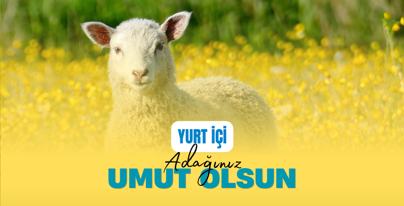 Yurt İçi Adak-Akika Bağışı